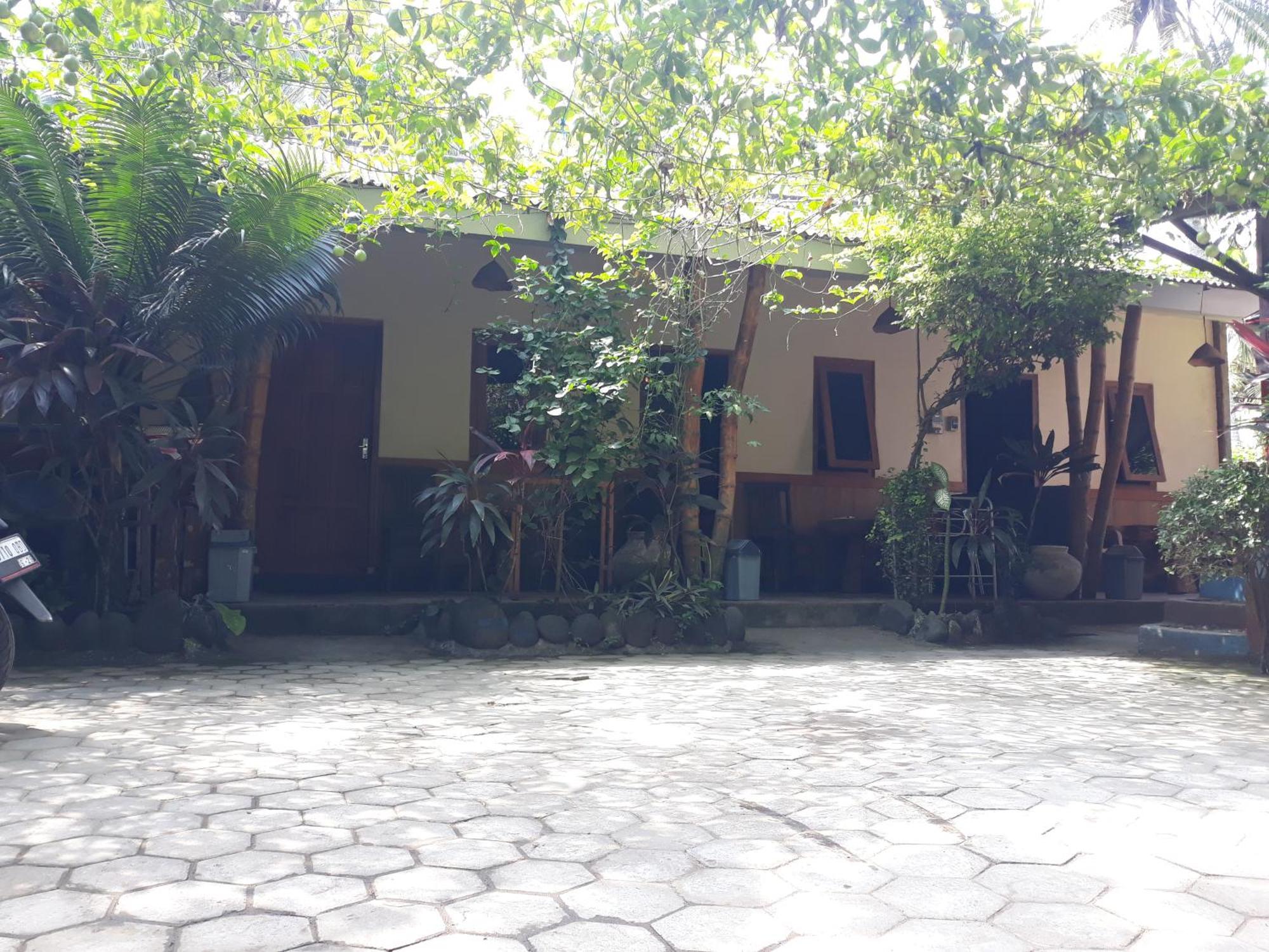 Big Daddy'S Surfcamp Apartment Pasanggaran Bagian luar foto